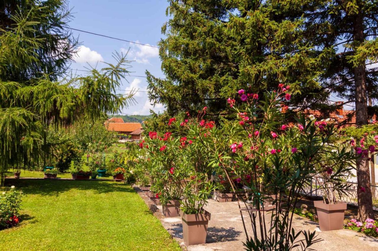 Studio 2 Golubăţ Exterior foto