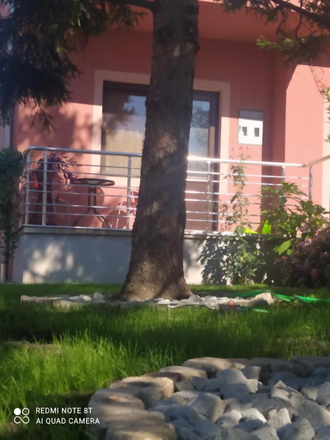 Studio 2 Golubăţ Exterior foto