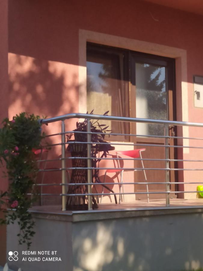 Studio 2 Golubăţ Exterior foto